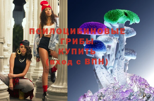 прущий лед Абаза