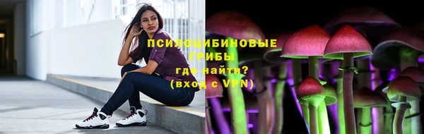 PSILOCYBIN Нязепетровск