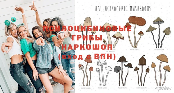 мдпв Няндома