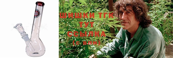 прущий лед Абаза