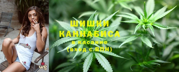мдпв Няндома