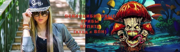 прущий лед Абаза