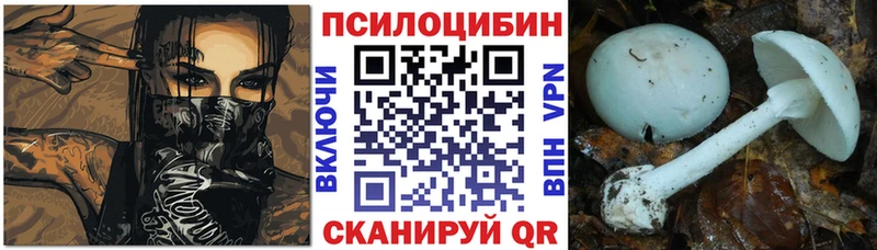 Галлюциногенные грибы мухоморы  цена наркотик  Бирюсинск 